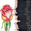 Подарочный набор цветных карандашей в металлической коробке ( 120 цветов)
