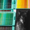 Премиум-набор цветных масляных карандашей KALOUR 240 цветов в металлической коробке