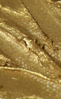 Художня олія фарба Winsor & Newton Золото туба 45 мл 